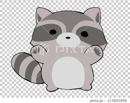Round Raccoon Round Raccoon 123802898