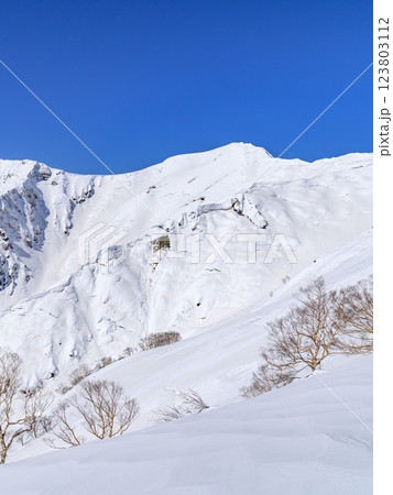 谷川岳の雪景色・天神尾根から見る絶景 谷川岳の雪景色・天神尾根から見る絶景 123803112