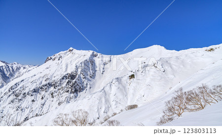 谷川岳の雪景色・天神尾根から見る絶景 123803113