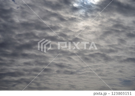 《自然・風景素材》曇空 曇天 雲り 《自然・風景素材》曇空 曇天 雲り 123803151