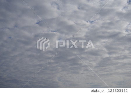 《自然・風景素材》曇空 曇天 雲り 《自然・風景素材》曇空 曇天 雲り 123803152