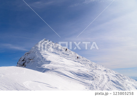 厳冬期の谷川岳・トマの耳（雪景色） 123803258