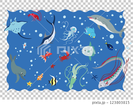 海の生き物、水の生き物のイラスト 123803815