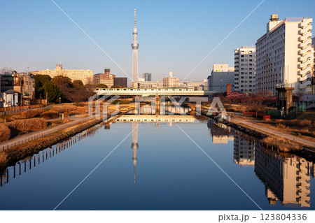 【河津桜】早朝の旧中川と早咲きの桜と列車 123804336