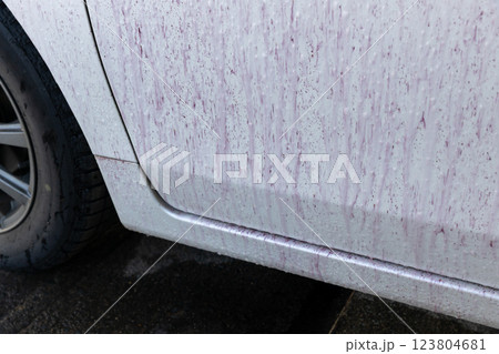 自動車のボディーに付着した鉄粉を洗剤で除去している 123804681