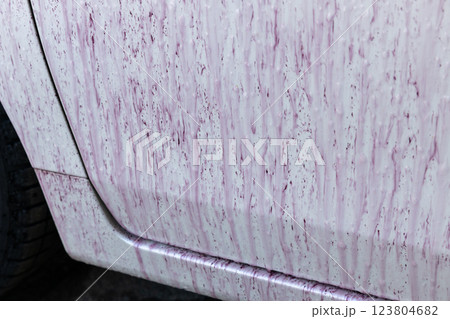 自動車のボディーに付着した鉄粉を洗剤で除去している 自動車のボディーに付着した鉄粉を洗剤で除去している 123804682