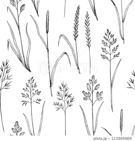 Seamless pattern with meadow grass. Ink drawing of wild cereals.  123804869