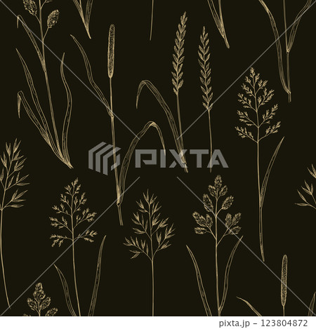 Seamless pattern with meadow grass. Ink drawing of wild cereals. Seamless pattern with meadow grass. Ink drawing of wild cereals. 123804872