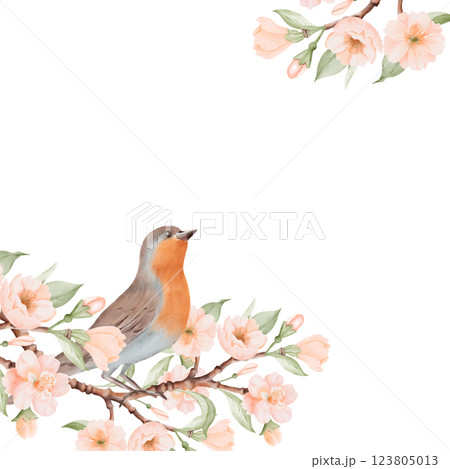 Spring square Frame with Bird and Blossoming Branch with Peach or Cherry Flowers. Hand drawn watercolor illustration on a white background. Ideal for nature, greeting cards and bird Day designs. Spring square Frame with Bird and Blossoming Branch with Peach or Cherry Flowers. Hand drawn watercolor illustration on a white background. Ideal for nature, greeting cards and bird Day designs. 123805013