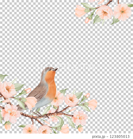 Spring square Frame with Bird and Blossoming Branch with Peach or Cherry Flowers. Hand drawn watercolor illustration on a white background. Ideal for nature, greeting cards and bird Day designs. Spring square Frame with Bird and Blossoming Branch with Peach or Cherry Flowers. Hand drawn watercolor illustration on a white background. Ideal for nature, greeting cards and bird Day designs. 123805013