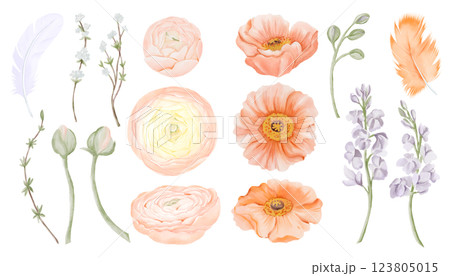 Spring Blossom Set, Ranunculus, Iceland Poppies Flowers and Freesia, Snow Willow Branches and Feathers. Watercolor hand painted floral illustration isolated on a white background. Perfect for wedding Spring Blossom Set, Ranunculus, Iceland Poppies Flowers and Freesia, Snow Willow Branches and Feathers. Watercolor hand painted floral illustration isolated on a white background. Perfect for wedding 123805015