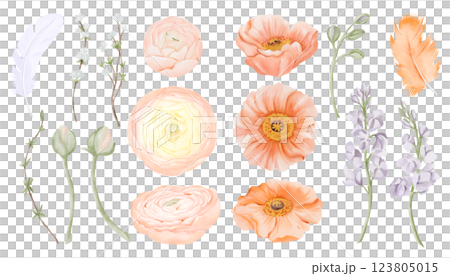 Spring Blossom Set, Ranunculus, Iceland Poppies Flowers and Freesia, Snow Willow Branches and Feathers. Watercolor hand painted floral illustration isolated on a white background. Perfect for wedding Spring Blossom Set, Ranunculus, Iceland Poppies Flowers and Freesia, Snow Willow Branches and Feathers. Watercolor hand painted floral illustration isolated on a white background. Perfect for wedding 123805015