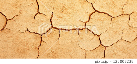 A dry, cracked earth surface showcasing the impact of drought and climate change. 123805239