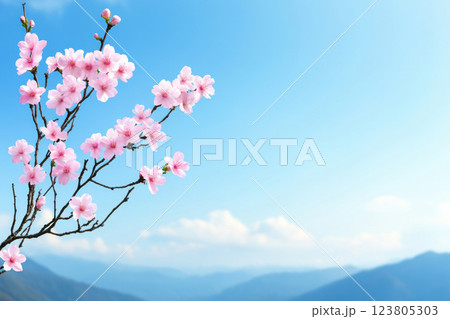 Beautiful cherry blossom branch against a clear blue sky and distant mountains. 123805303