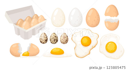 Raw boiled eggs. Cartoon chicken or quail egg carton tray pack, eco protein meal breakfast half fried fresh yolk in brown eggshell, poultry natural food vector illustration of protein yolk breakfast Raw boiled eggs. Cartoon chicken or quail egg carton tray pack, eco protein meal breakfast half fried fresh yolk in brown eggshell, poultry natural food vector illustration of protein yolk breakfast 123805475