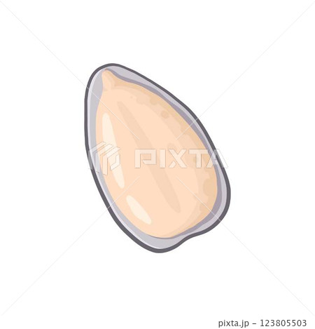 Cartoon seed. Organic raw sunflower seeds, pumpkin seeds and pine nuts, tasty snacks for vegetarian diet flat vector illustration icon. Delicious seed on white 123805503