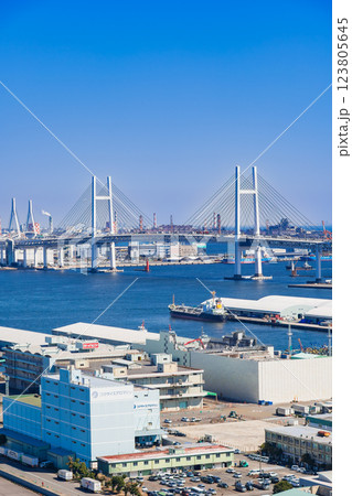 横浜ベイブリッジと山下ふ頭 横浜ベイブリッジと山下ふ頭 123805645