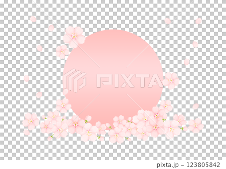 和柄の背景 123805842