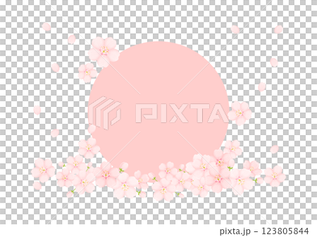 和柄の背景 123805844