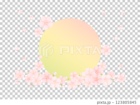 和柄の背景 123805845