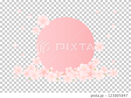 和柄の背景 123805847