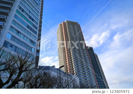 東雲のタワーマンション（東京都江東区） 123805972