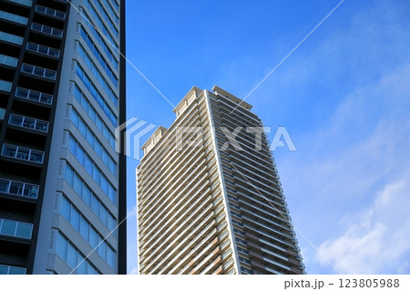 東雲のタワーマンション(東京都江東区) 東雲のタワーマンション(東京都江東区) 123805988