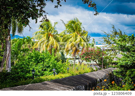 フィリピン　セブ　サン・ペドロ要塞 123806409