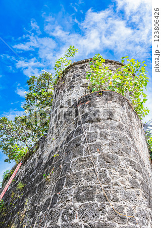 フィリピン　セブ　サン・ペドロ要塞 123806426