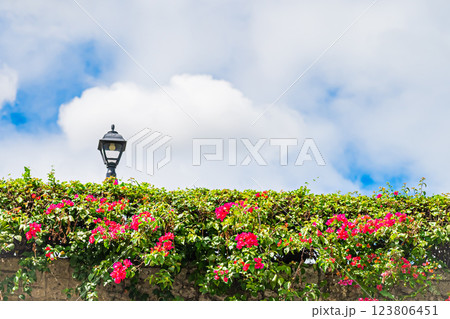 フィリピン　セブ　サン・ペドロ要塞 123806451