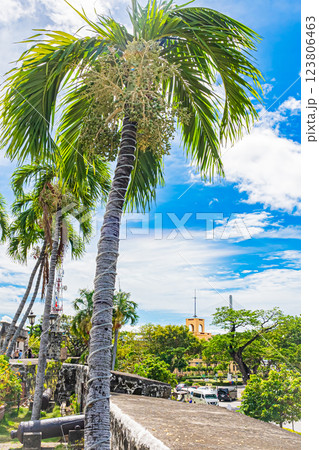 フィリピン セブ サン・ペドロ要塞 フィリピン セブ サン・ペドロ要塞 123806463