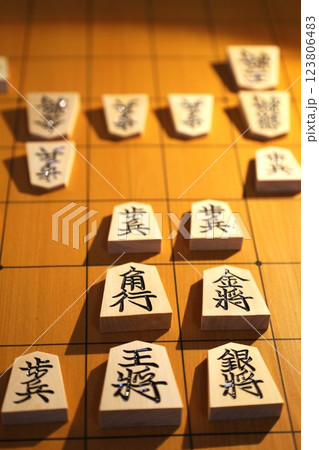将棋の第74期王将戦第5局の投了棋譜 将棋の第74期王将戦第5局の投了棋譜 123806483