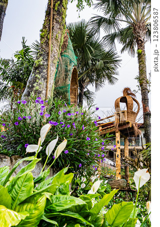 フィリピン セブ シラオガーデン フィリピン セブ シラオガーデン 123806587