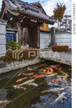 五個荘町 123806616