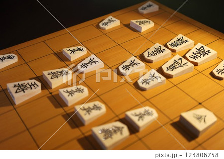 第74期王将戦第5局投了棋譜の盤面 123806758