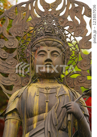 大円寺 大円寺 123807036