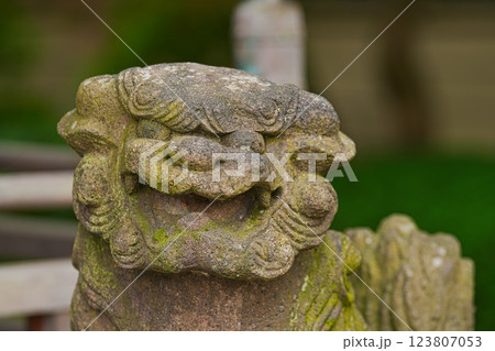 大円寺 123807053