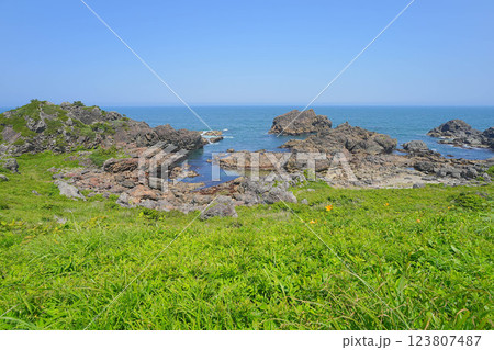 種差海岸 種差海岸 123807487