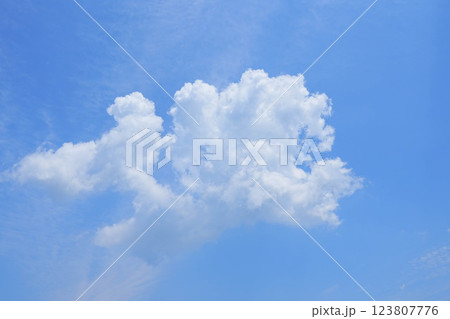 空 空 123807776