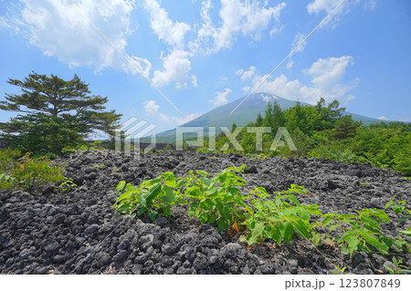 焼走り熔岩流 焼走り熔岩流 123807849