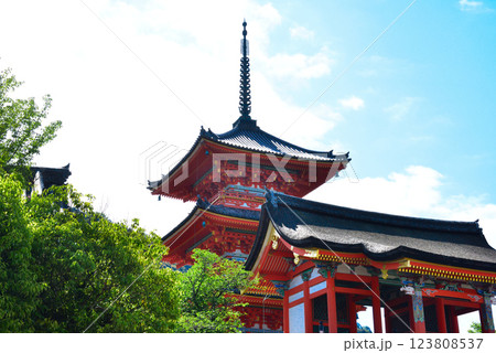 新緑が眩しい京都 清水寺 123808537