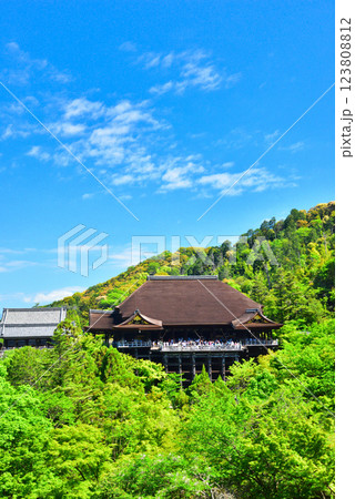 新緑が眩しい京都 清水寺 123808812