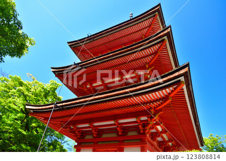 新緑が眩しい京都 清水寺 新緑が眩しい京都 清水寺 123808814