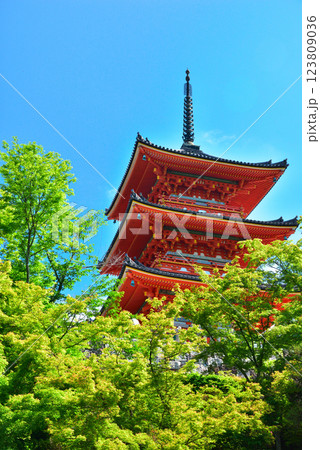 新緑が眩しい京都 清水寺 123809036