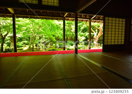 京都 春の圓光寺 京都 春の圓光寺 123809255