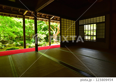 京都 春の圓光寺 123809454