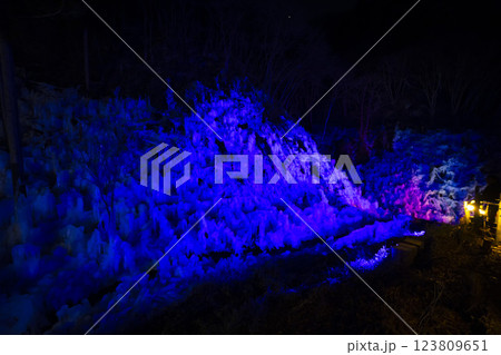 ライトアップされたあしがくぼの氷柱 ライトアップされたあしがくぼの氷柱 123809651