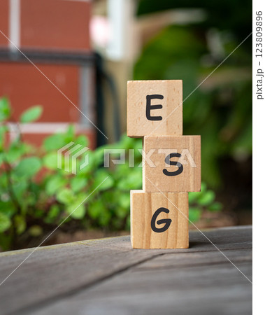 ESG word on stacked wooden blocks ESG word on stacked wooden blocks 123809896