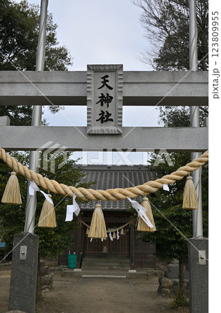 菅沼天神社　鳥居　深谷市　　　　 123809955