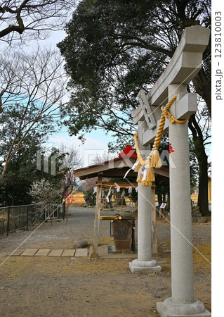 菅沼天神社　境内　深谷市　　　　 123810003